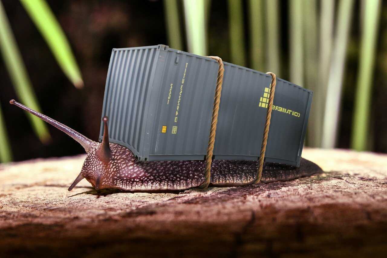 Ile kosztuje kontener na gruz Warszawa