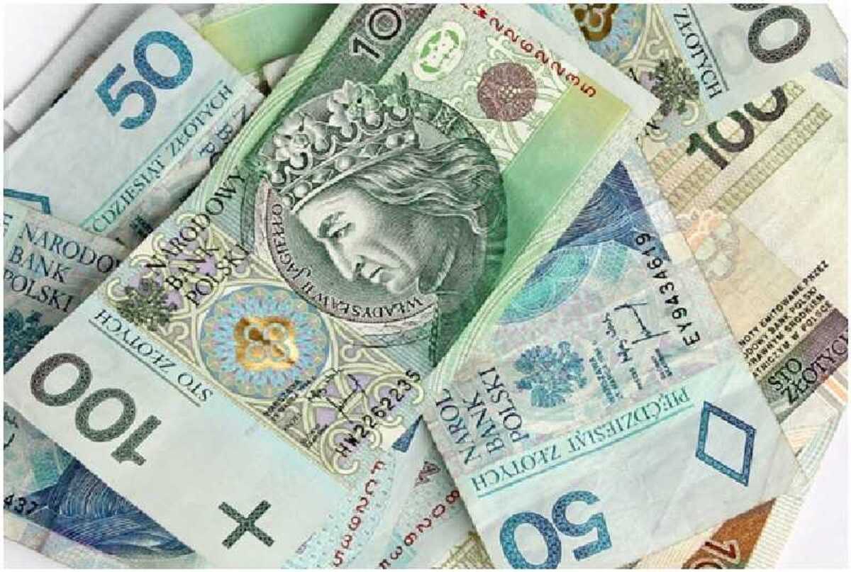 Jak oszczędzić na wywozie szamba