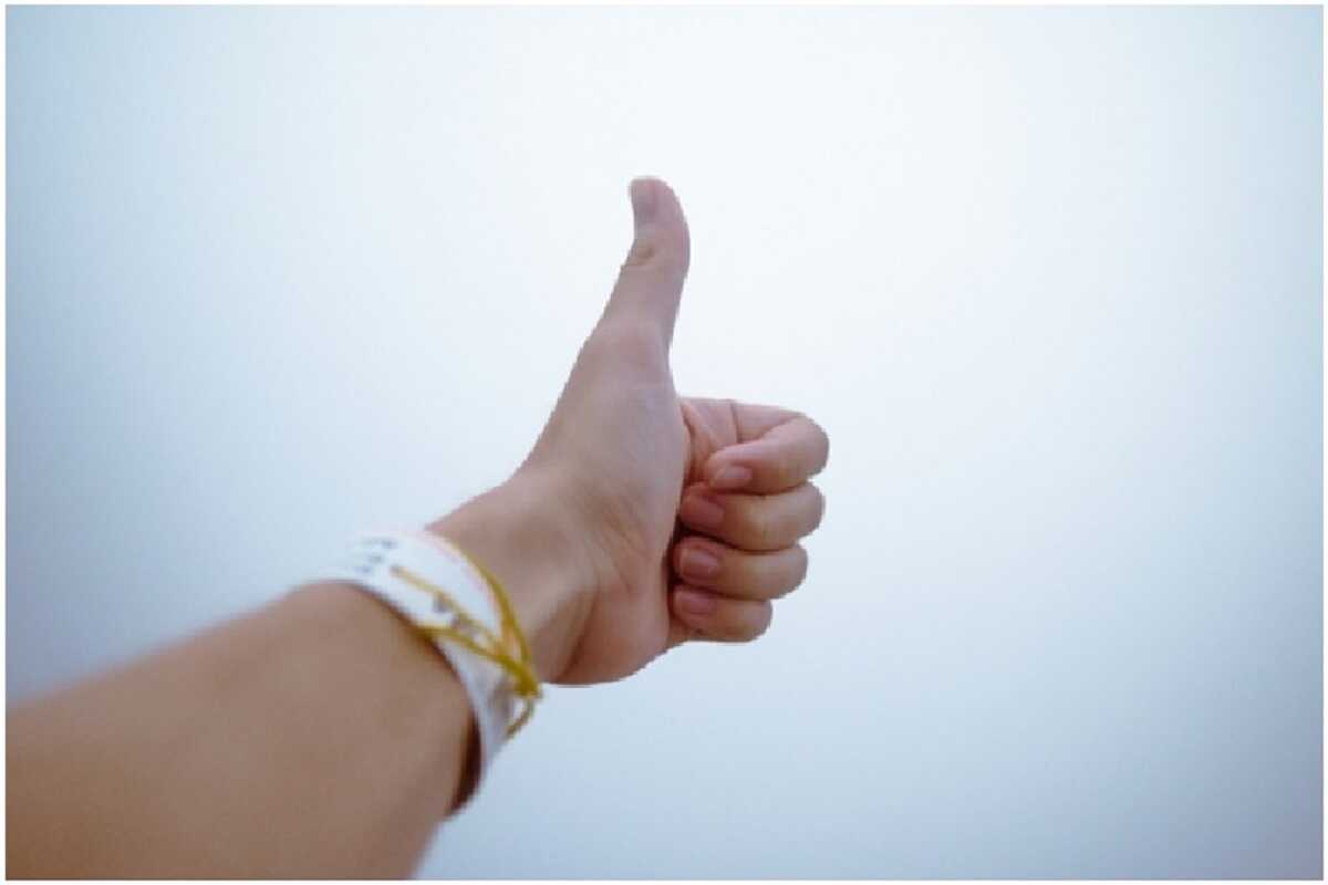 Jak zbudować szambo