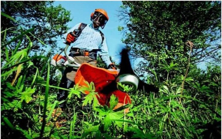 Najlepsze usługi ogrodnicze Warszawa