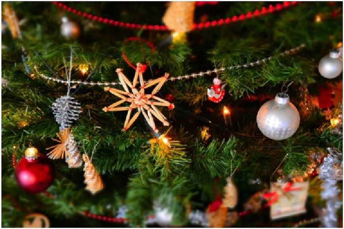 Wywóz szamba Warszawa przed świętami