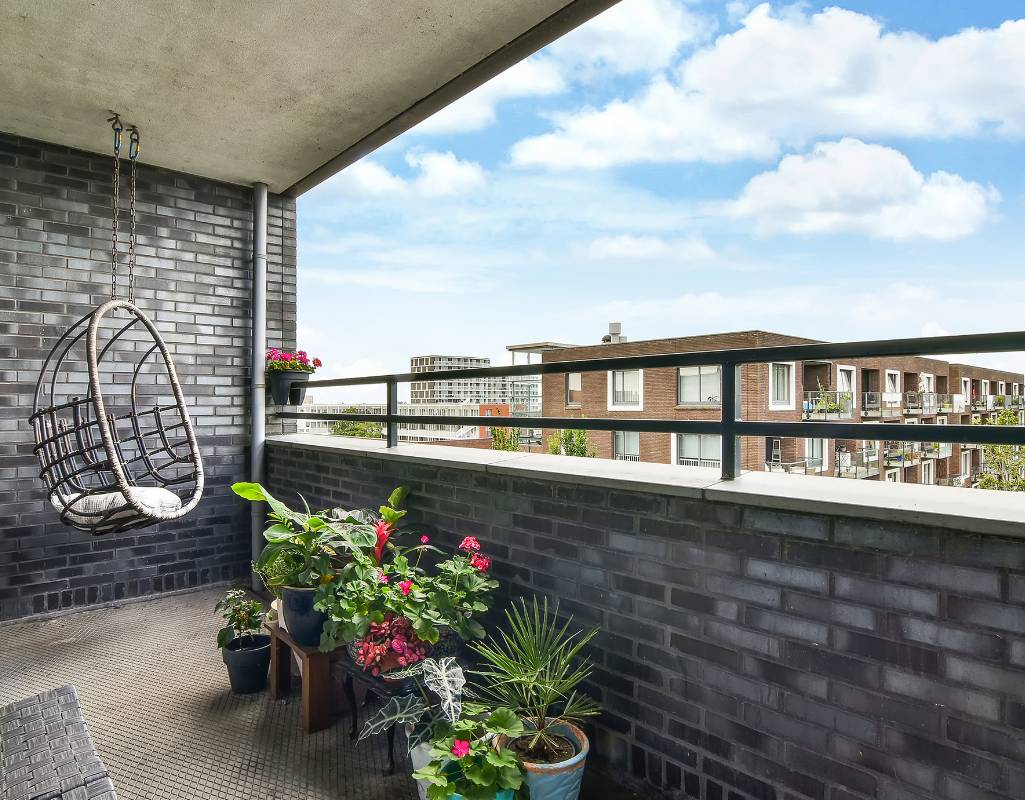 mszyce na kwiaatach balkonowych