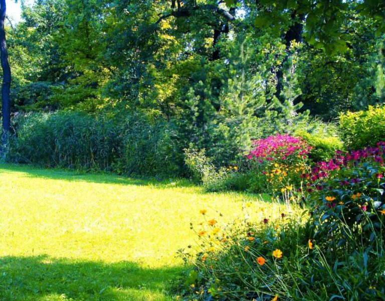 Rośliny na słońce - najlepsze na taras, skarpę i stanowisko