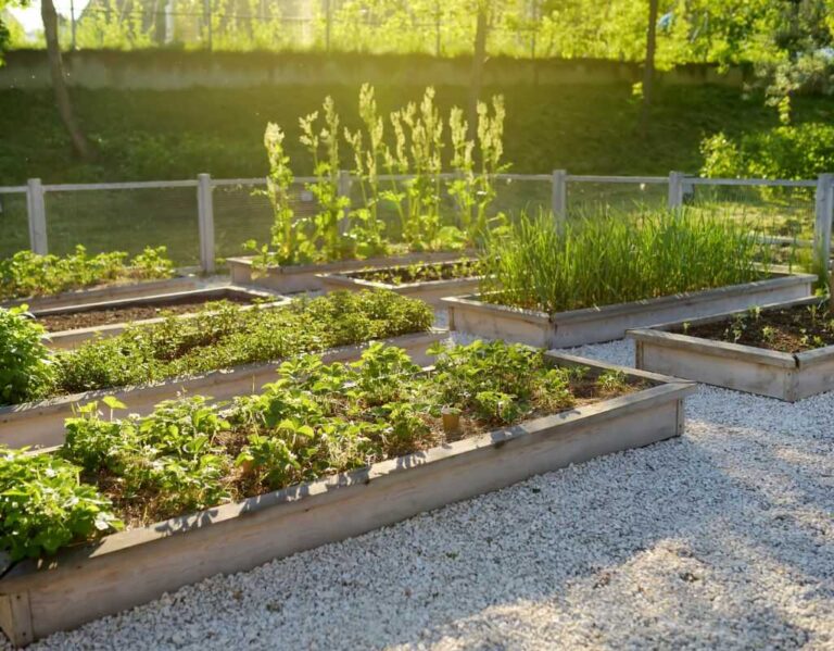 Grządki z palet. Dobre sposoby na wykorzystanie palety
