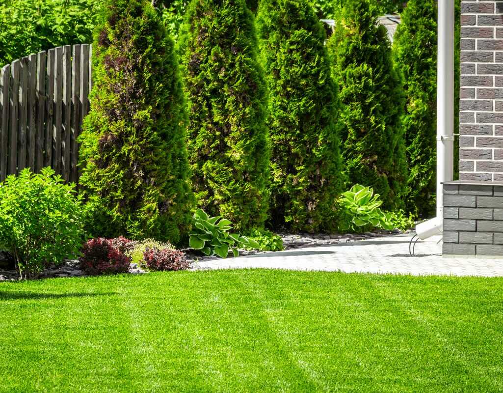 Nawadnianie trawnika. Jak dobrze i tanio nawadniać trawnik