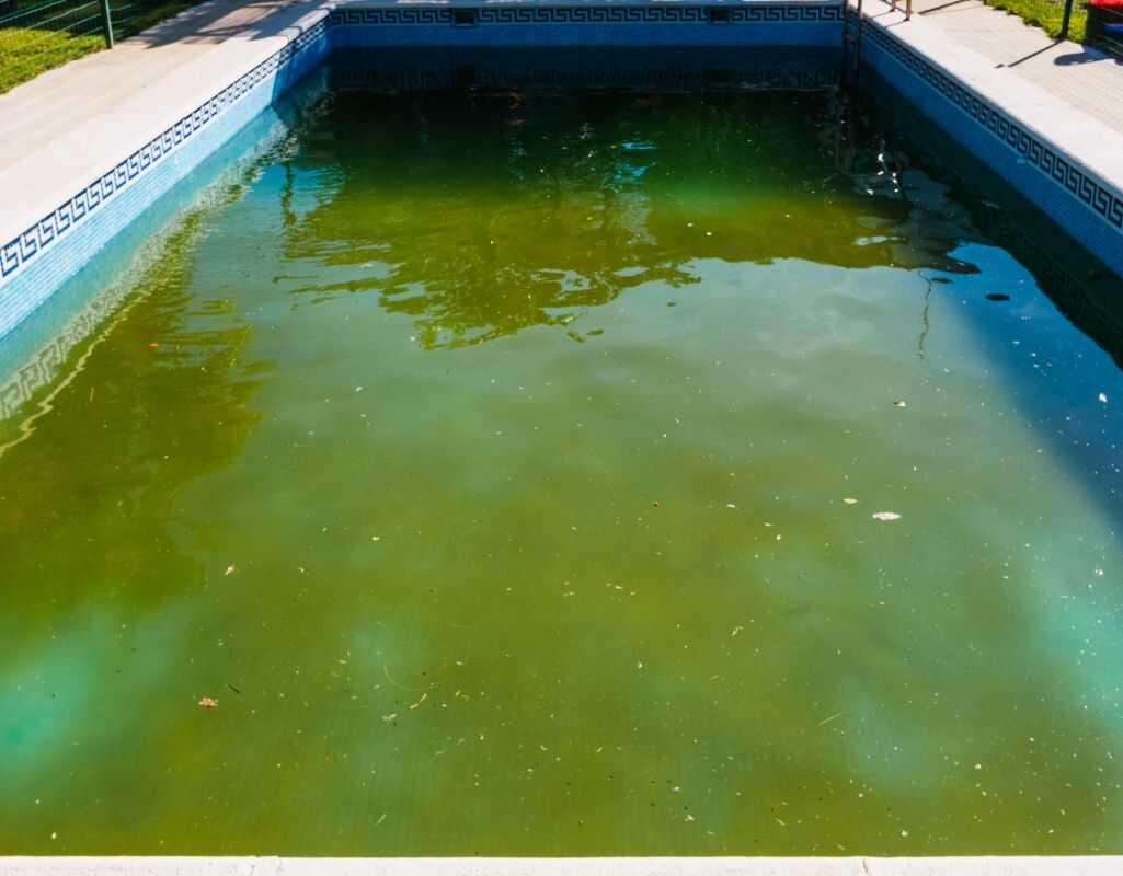 Zielona woda w basenie - przyczyny, skutki i sprawdzone sposoby na zieloną wodę