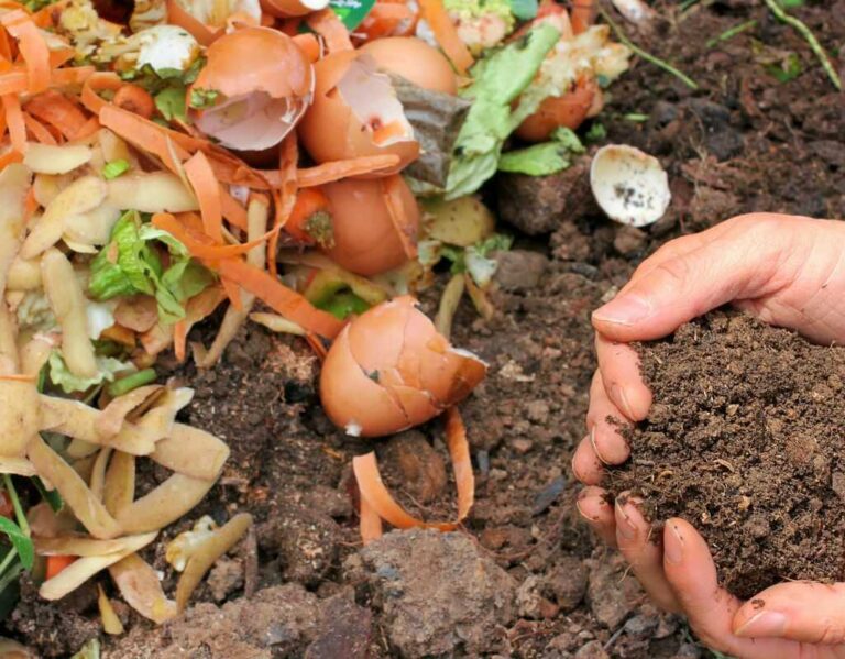 Jak zrobić kompost? Kompletna instrukcja krok po kroku