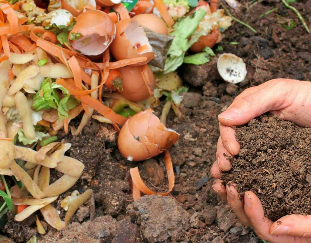 Jak zrobić kompost? Kompletna instrukcja krok po kroku