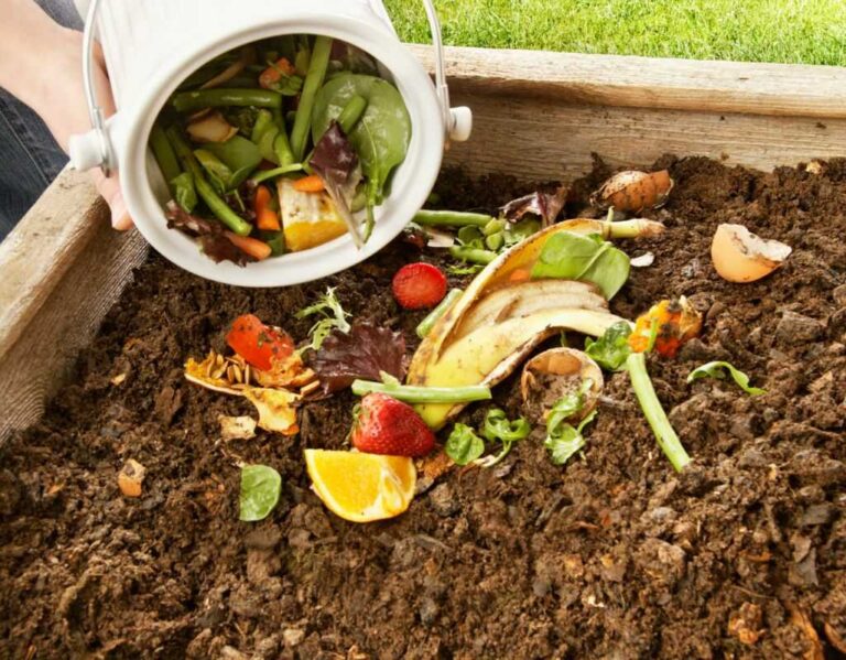 Kompostowanie - Ekologiczne Przetwarzanie Odpadów W Cenny Nawóz