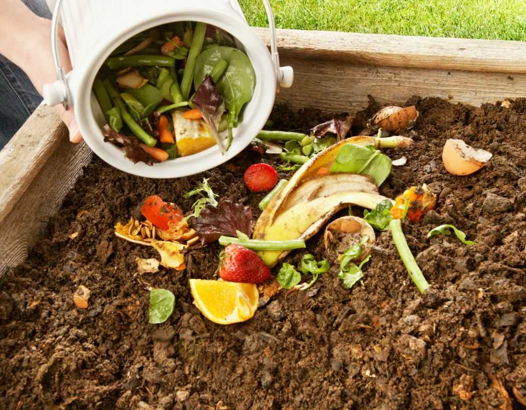 Kompostowanie - Ekologiczne Przetwarzanie Odpadów W Cenny Nawóz