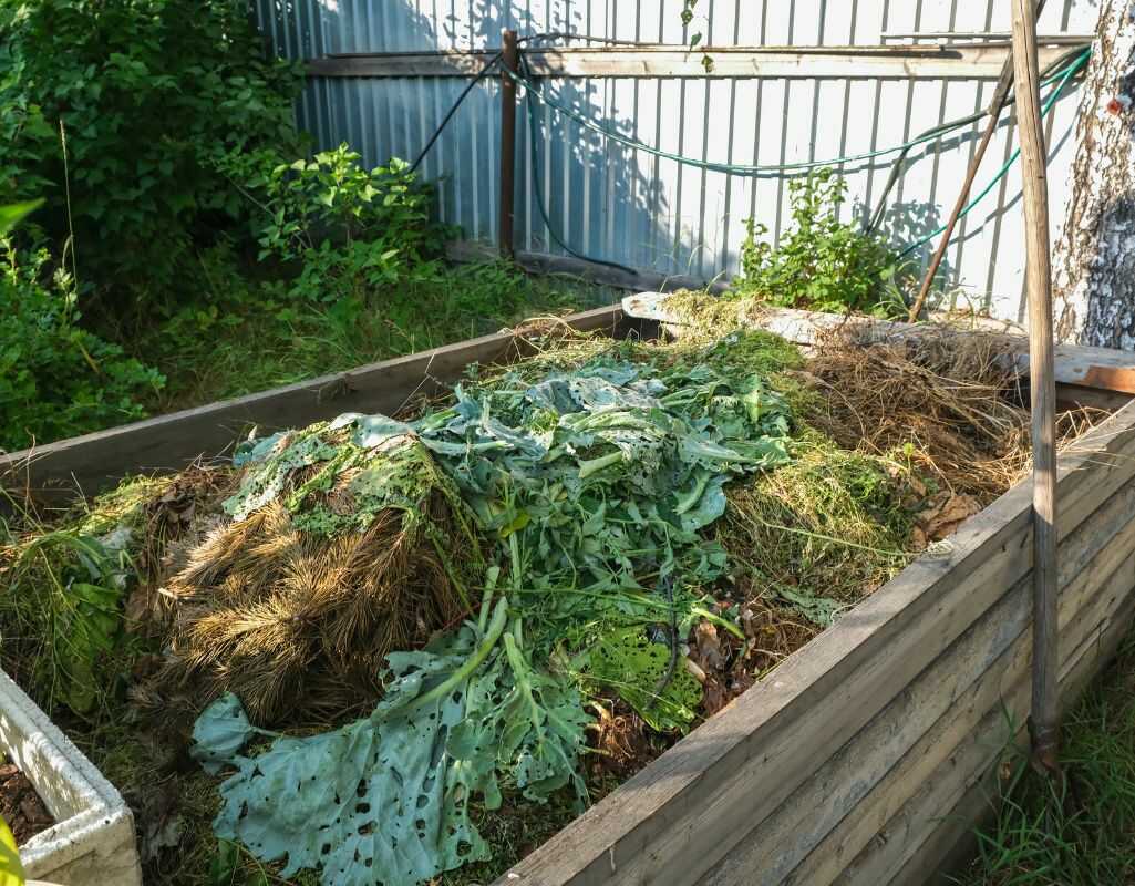 Kompostownik - jak wybrać najlepszy? Poradnik