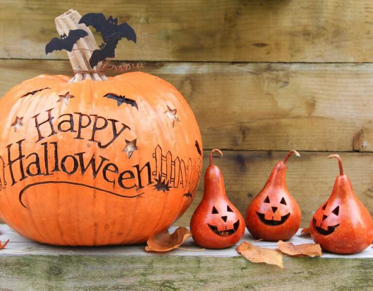 Dynia na Halloween - jak zrobić lampion?