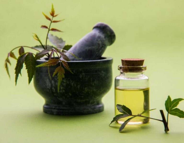 Olejek neem do roślin - skuteczna ochrona przed szkodnikami