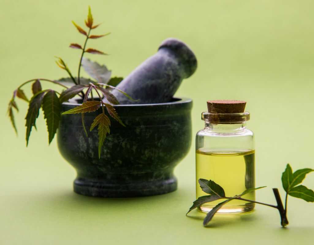 Olejek neem do roślin - skuteczna ochrona przed szkodnikami