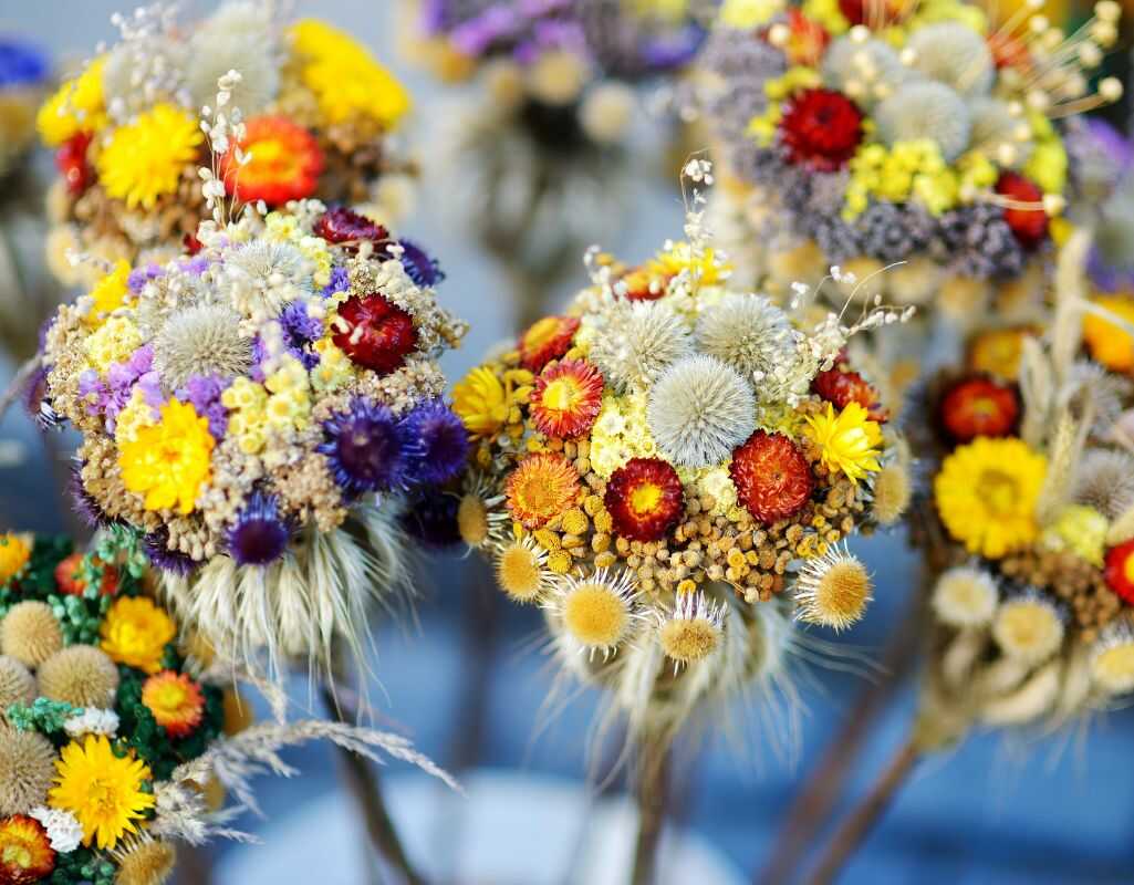 Palma wielkanocna. Historia, tradycje i nowoczesne interpretacje