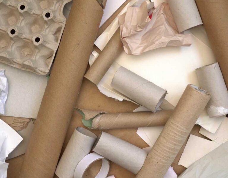 Ile rozkłada się papier? Opisujemy czas rozkładu różnych rodzajów papieru