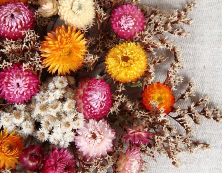 Jak suszyć kwiaty, aby zachowały kolor i urok? Odkryj najlepsze metody suszenia