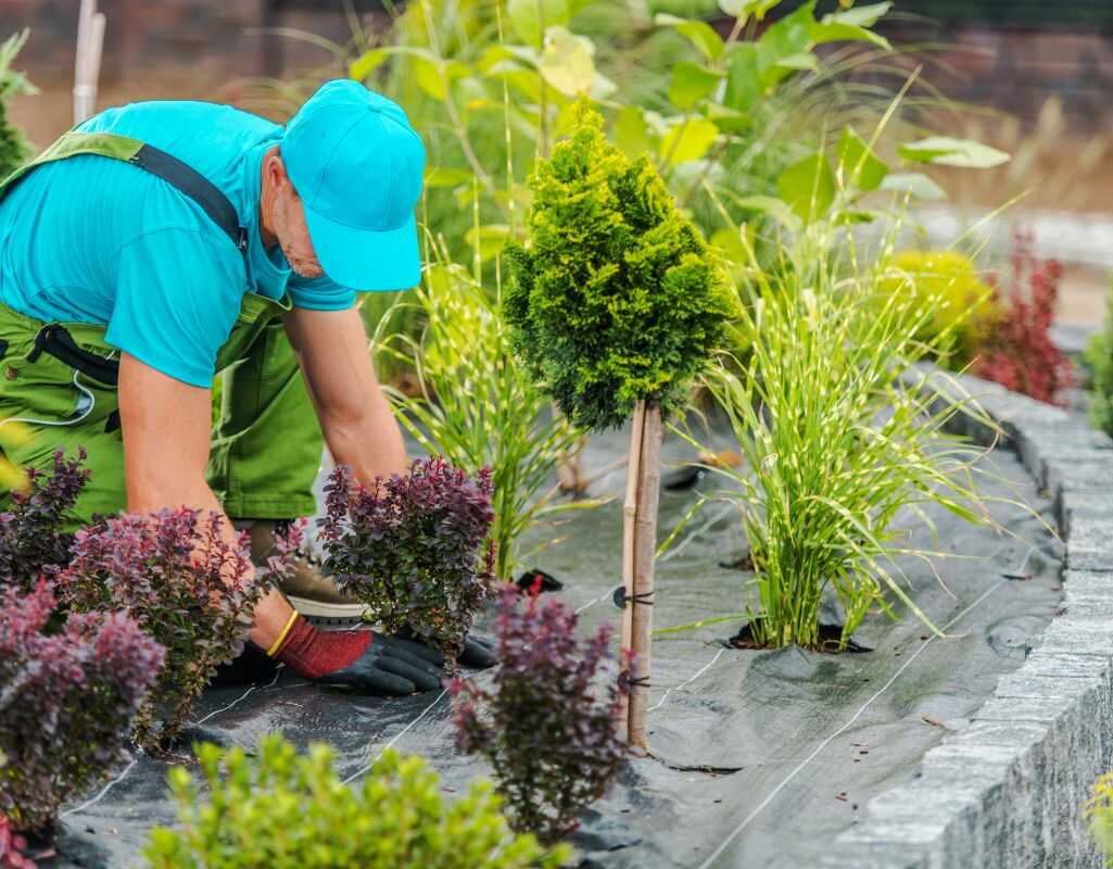 Jaka jest cena usług ogrodniczych w Warszawie w 2025 roku? Przegląd ofert