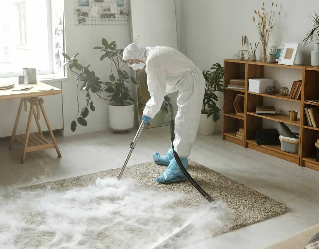 Ile kosztuje pranie dywanów w Warszawie w 2025 roku? Przegląd cen i usług