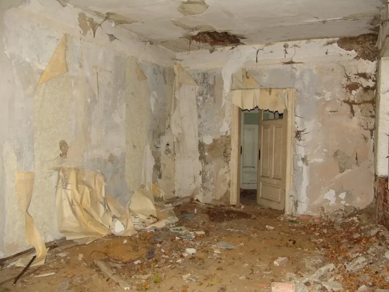 Zniszczone pomieszczenie z odpadającym tynkiem, oderwanymi tapetami, zawaloną podłogą i gruzem rozrzuconym po całym wnętrzu. Obraz przedstawia efekt remontu lub rozbiórki, ilustrując potrzebę wywozu gruzu i odpadów budowlanych.