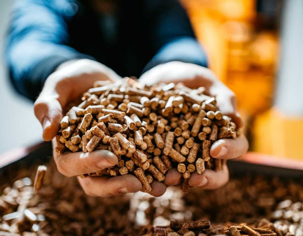 Gdzie kupić najtańszy pellet w Łomiankach na zimę 2025/2026? Lista ofert