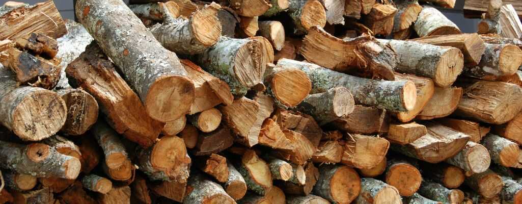 Drewno ułożone w stosie