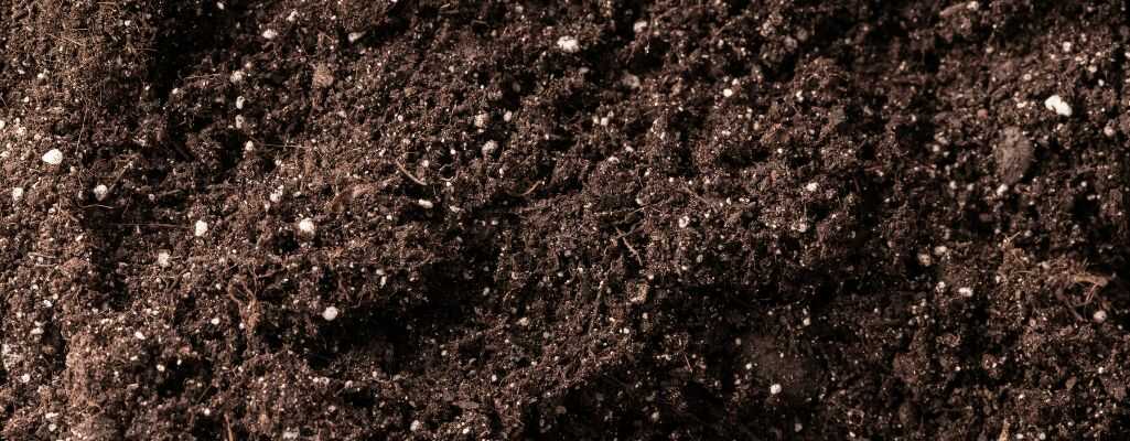 Metody użyźniania gleby