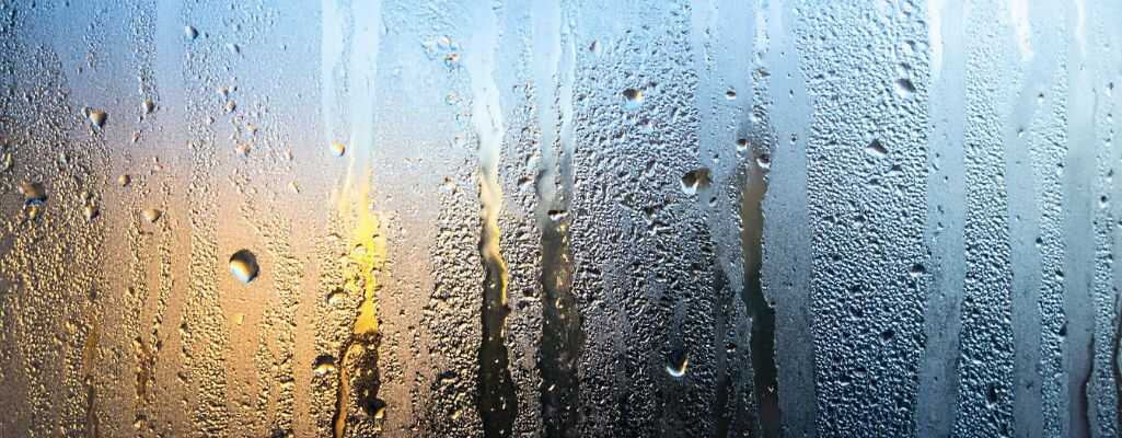 Poznaj przyczyny, dlaczego pleśń na ścianie pojawia się w mieszkaniu