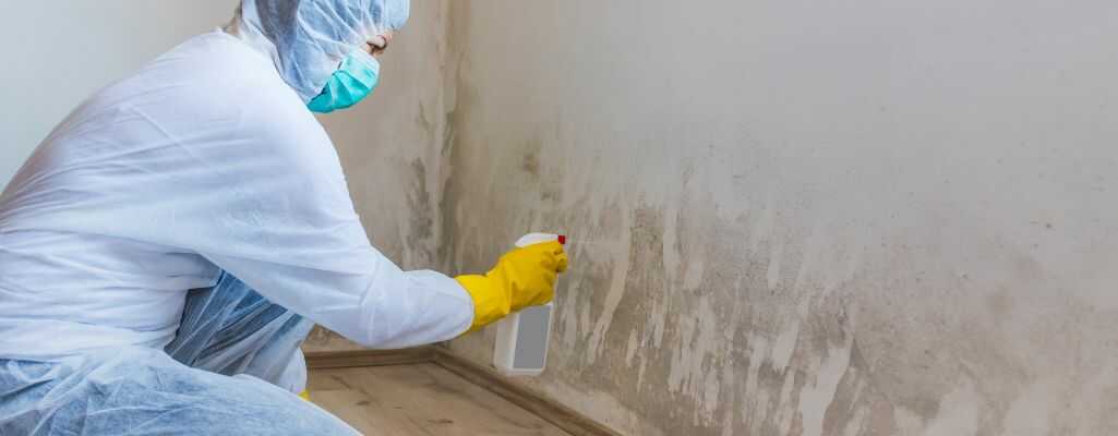 Domowe sposoby na pleśń - lista środków